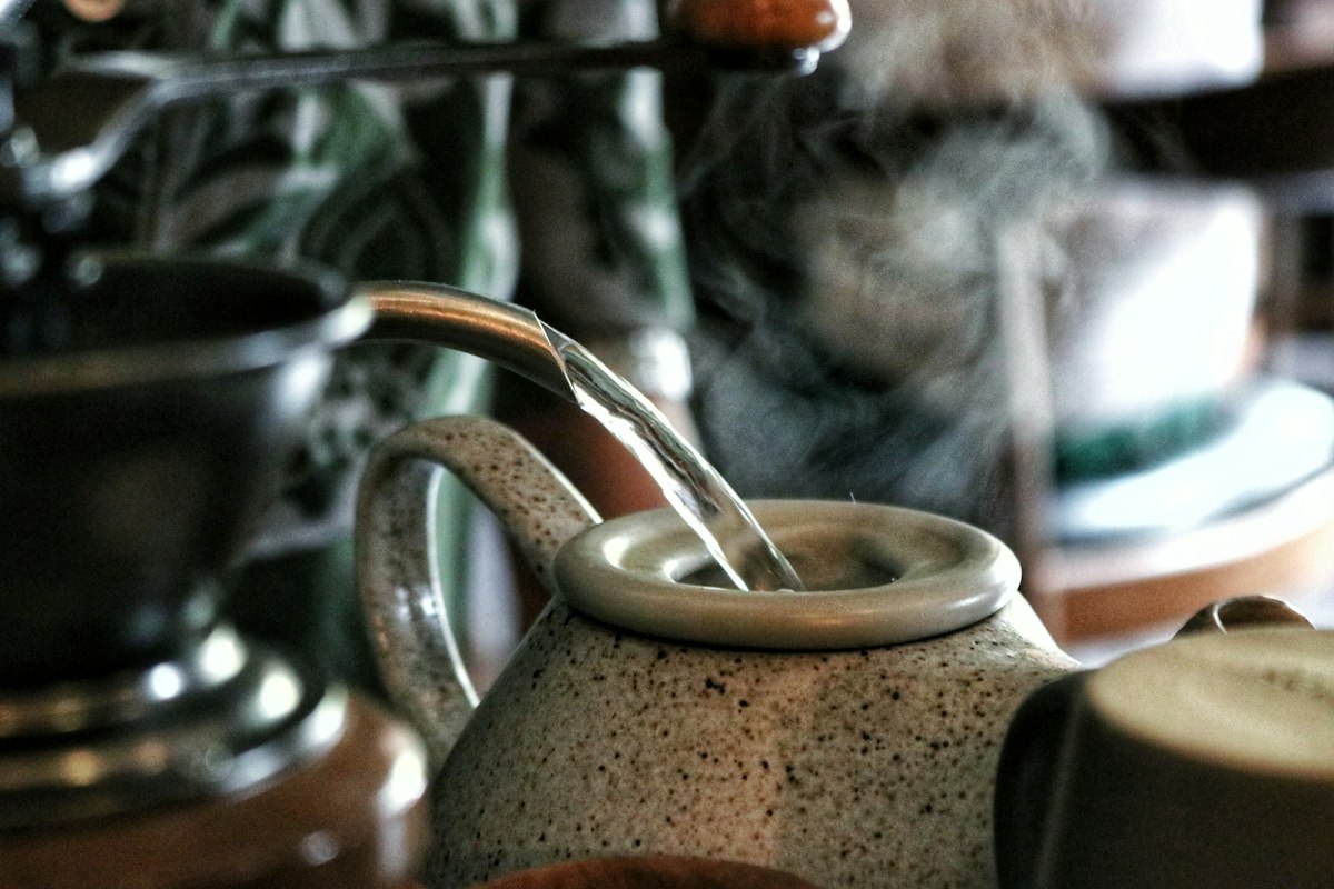 Digital temperature control electric kettle